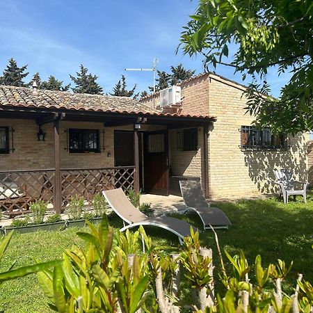 La Capparuccia Leilighet Civitanova Marche Eksteriør bilde