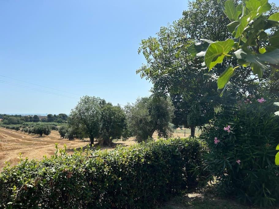 La Capparuccia Leilighet Civitanova Marche Eksteriør bilde